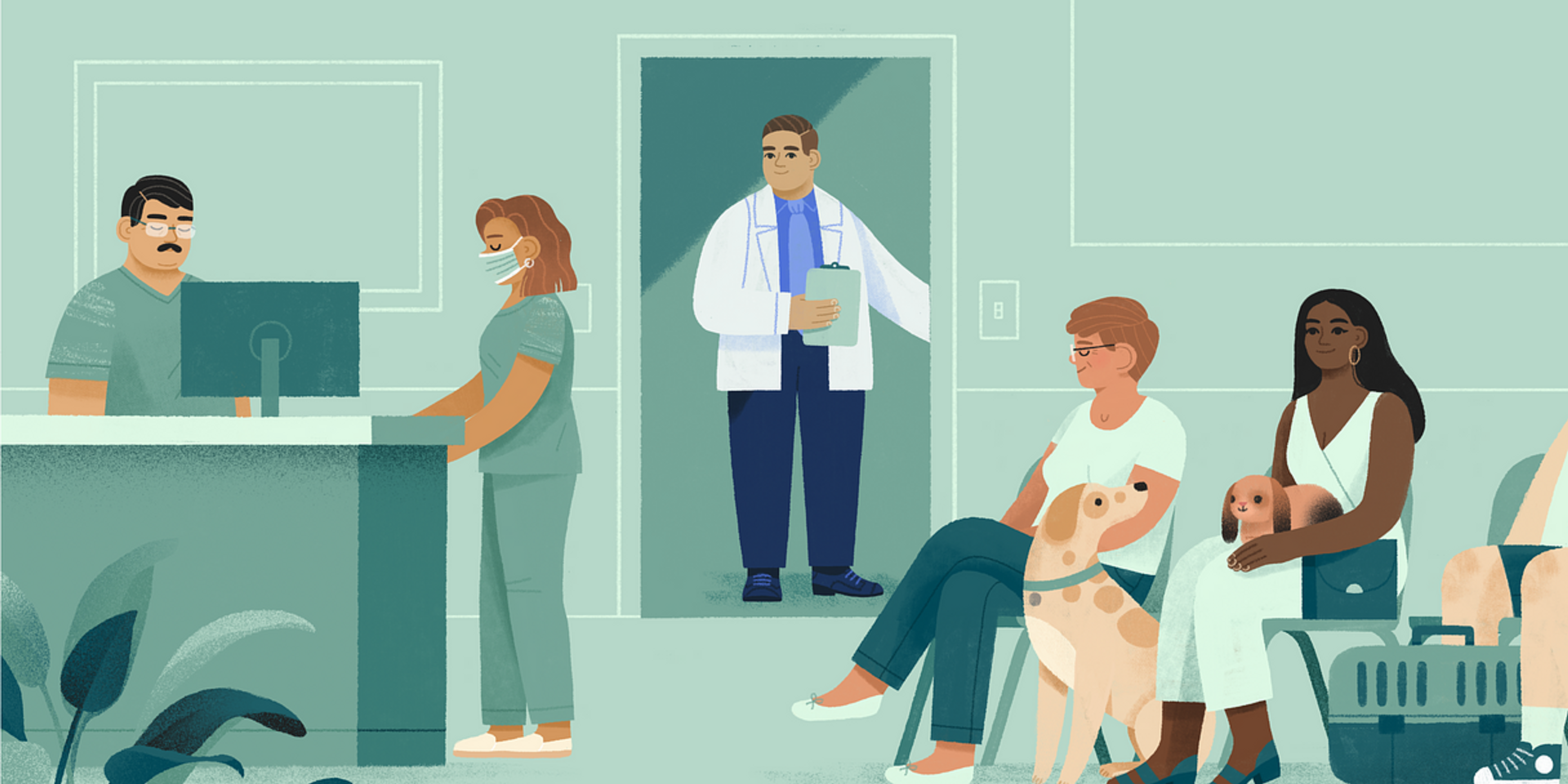 5 ways veterinary hospital owners can maximize their cash flow