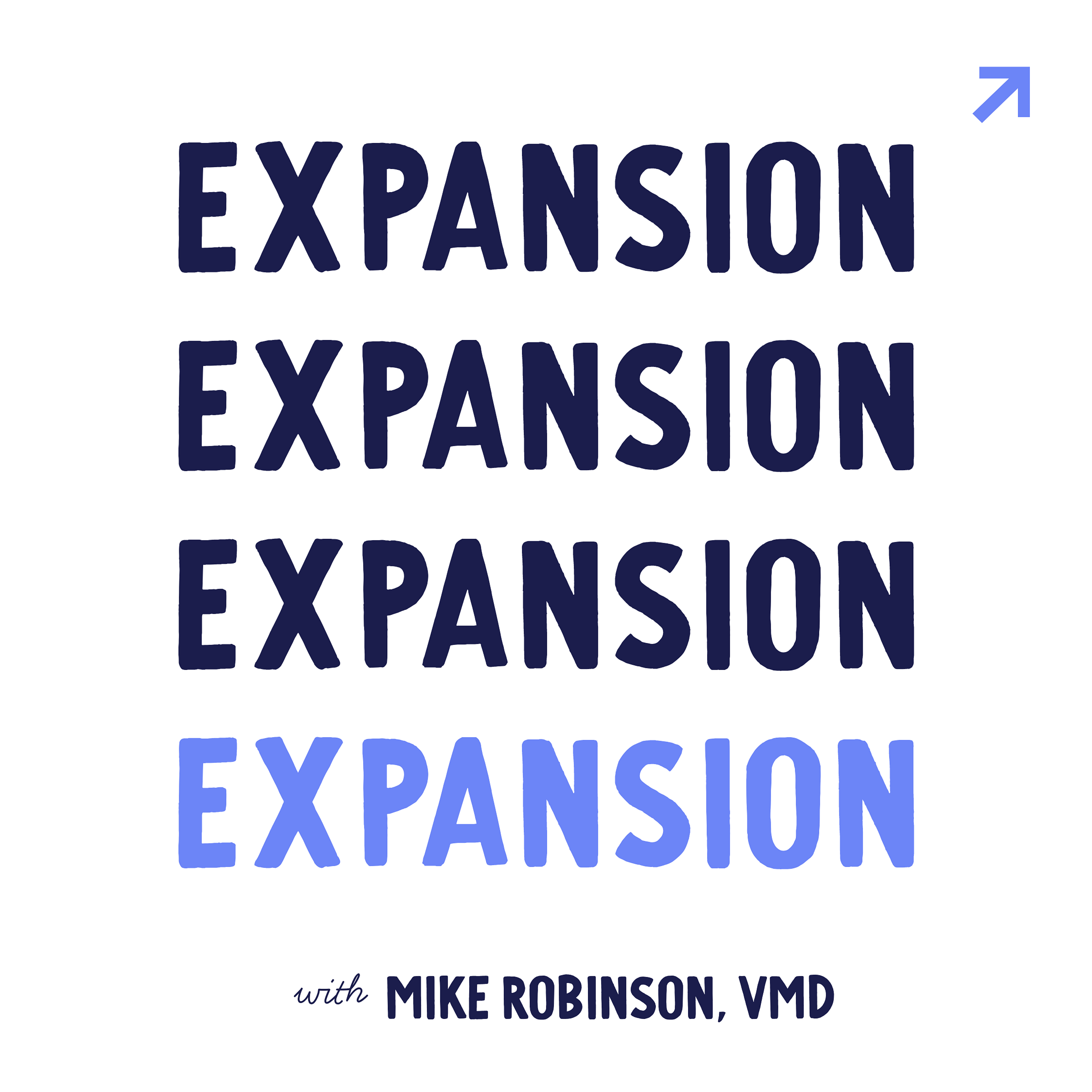 Image for 30. Ready to expand? How to grow your veterinary hospital into multiple locations, with Mike Robinson, VMD