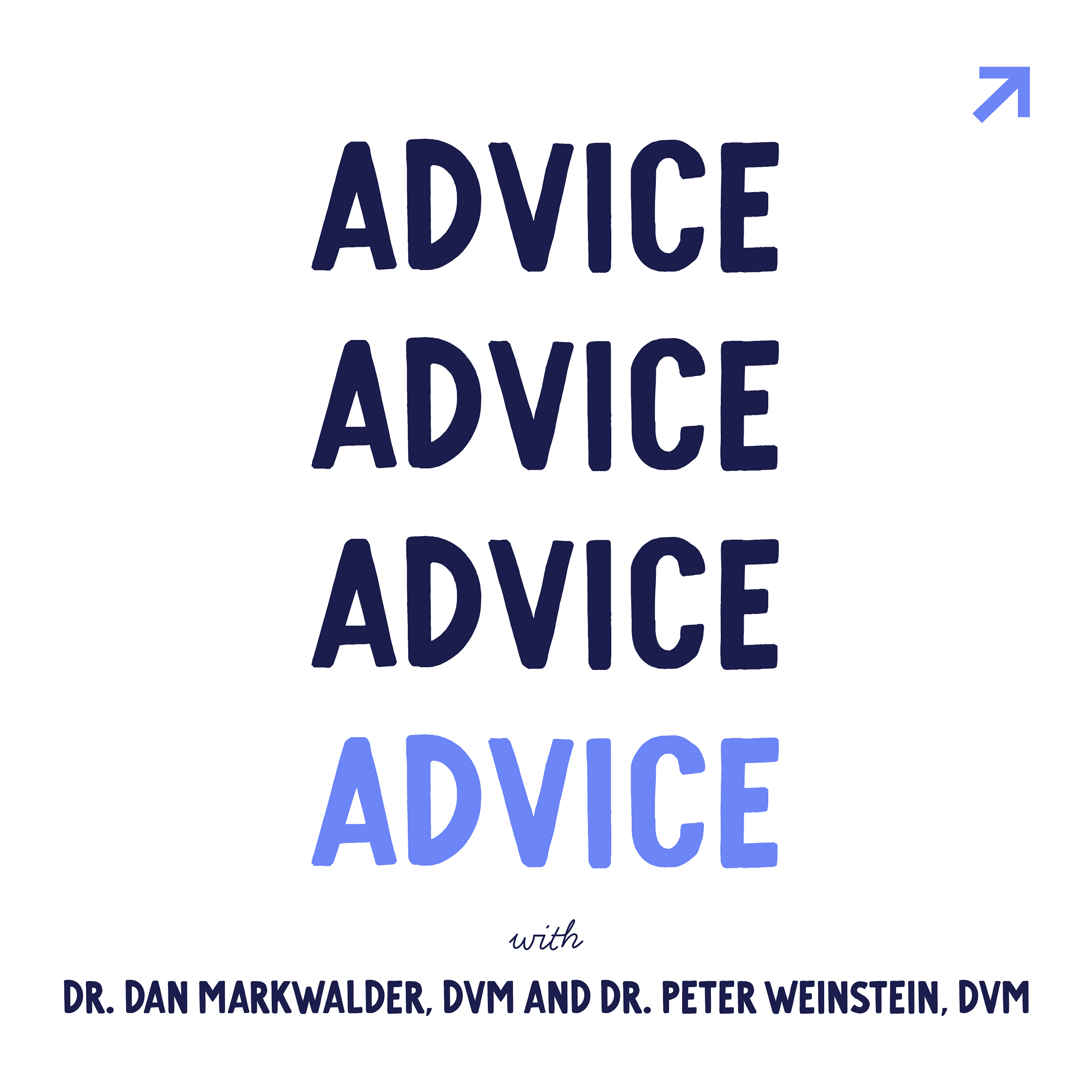 Image for 44. Established veterinarians share advice for aspiring and new hospital owners